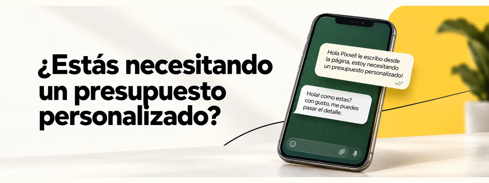 ¿Estás necesitando un presupuesto personalizado? Consultá con Pixxel.